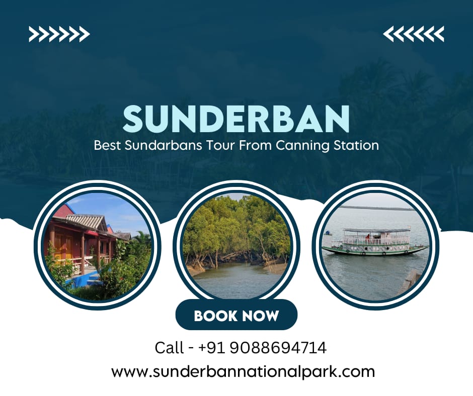 Sundarban Tour Package From Canning Station / Godhkhali