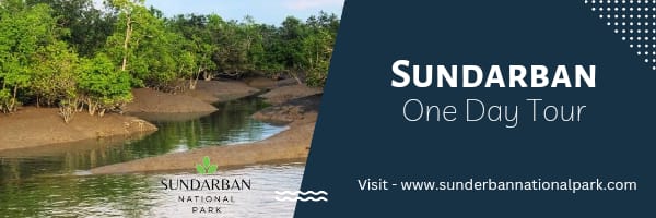 Sunderban National Park, India