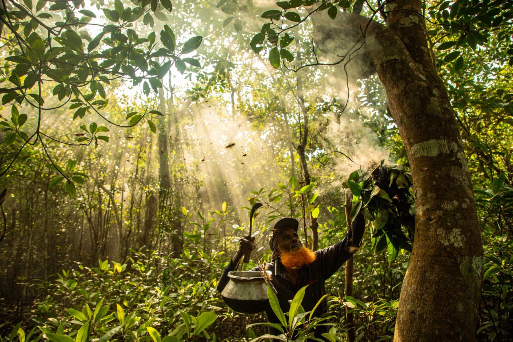 Honey Collectors Of Sundarbans
