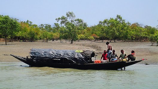 Responsible Tourism In Sundarbans