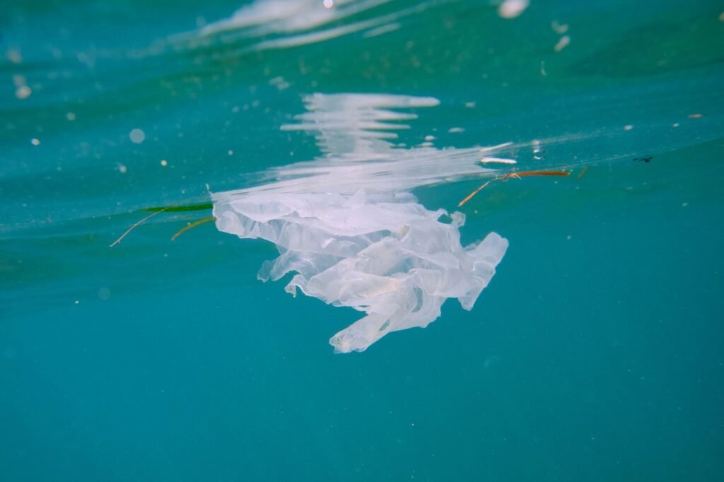 How Plastic Waste Travels Inside Sundarbans