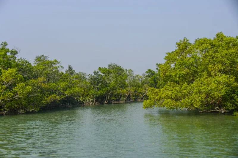Sundarban 1 Night 2 Days Package Price