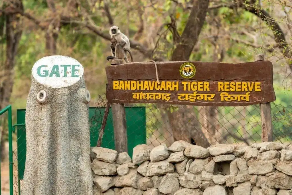 Bandhavgarh National Park Packages