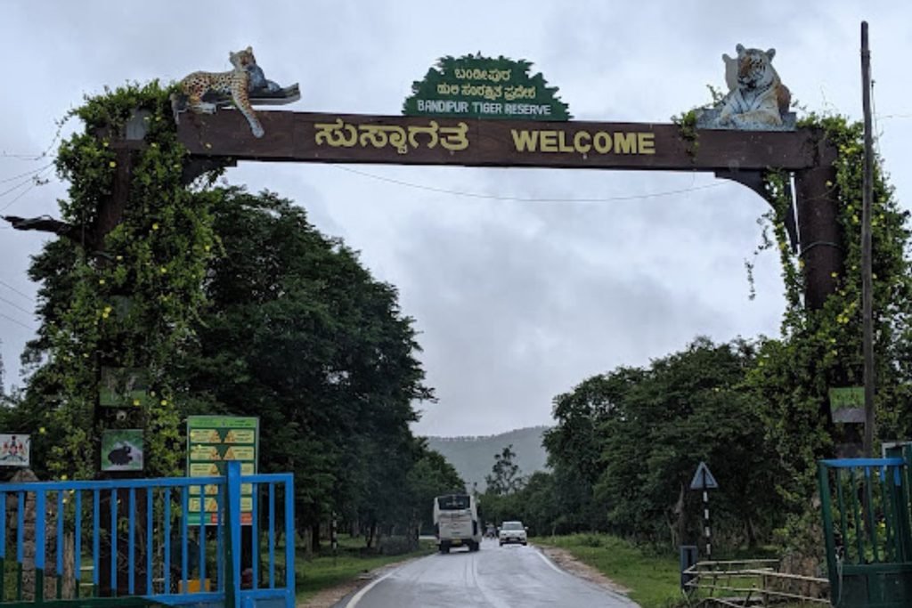 Bandipur National Park Tour Packages