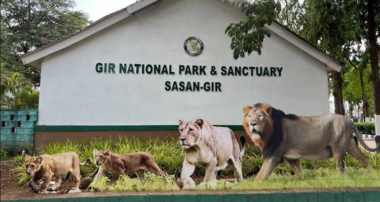 Gir Forest National Park
