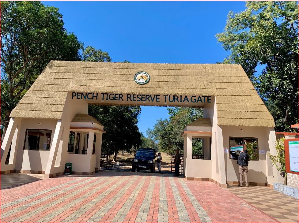 Pench National Park Tour Packages