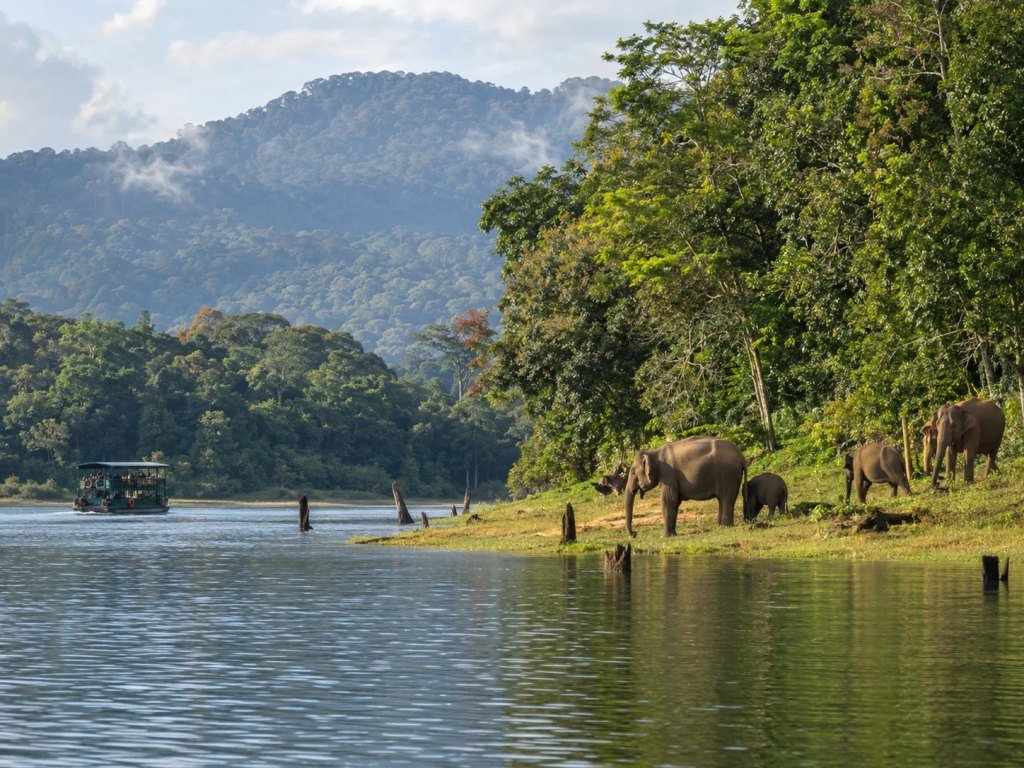Periyar National Park Tour Packages