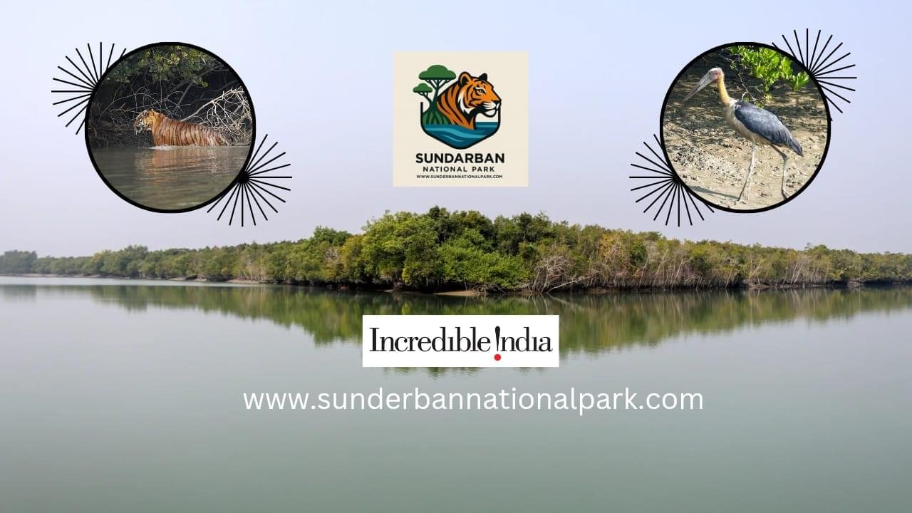 website-of-sunderbans-national-park-india